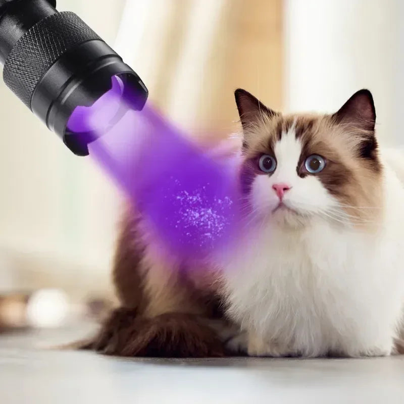 UV Black Light Flashlight for Detecting Pet Urine Stains on Carpet