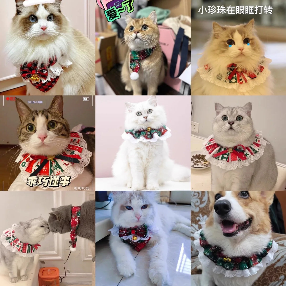 Christmas Plaid Snowflake Tie Bib for Dogs with Bell