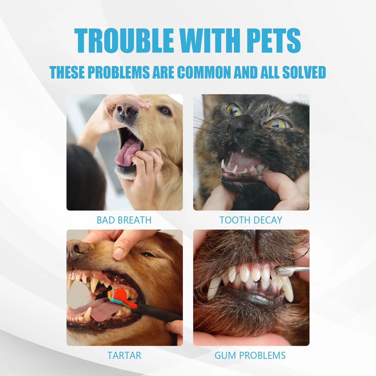 Edible Pet Toothpaste for Dogs and Cats, Tartar Control Fresh Breath