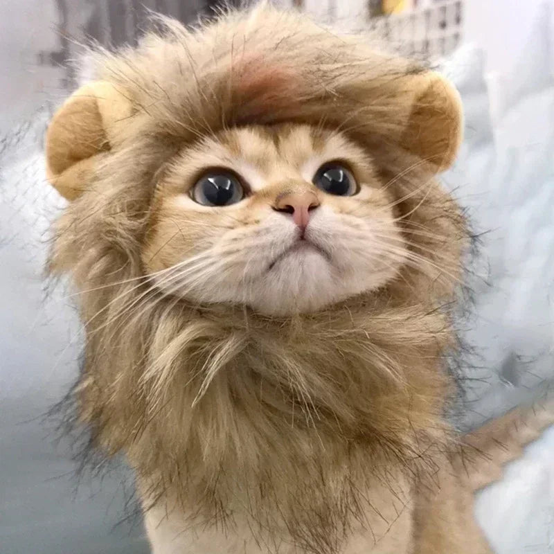 Halloween Lion Mane Wig Costume Hat with Ears for Cats & Small Dogs