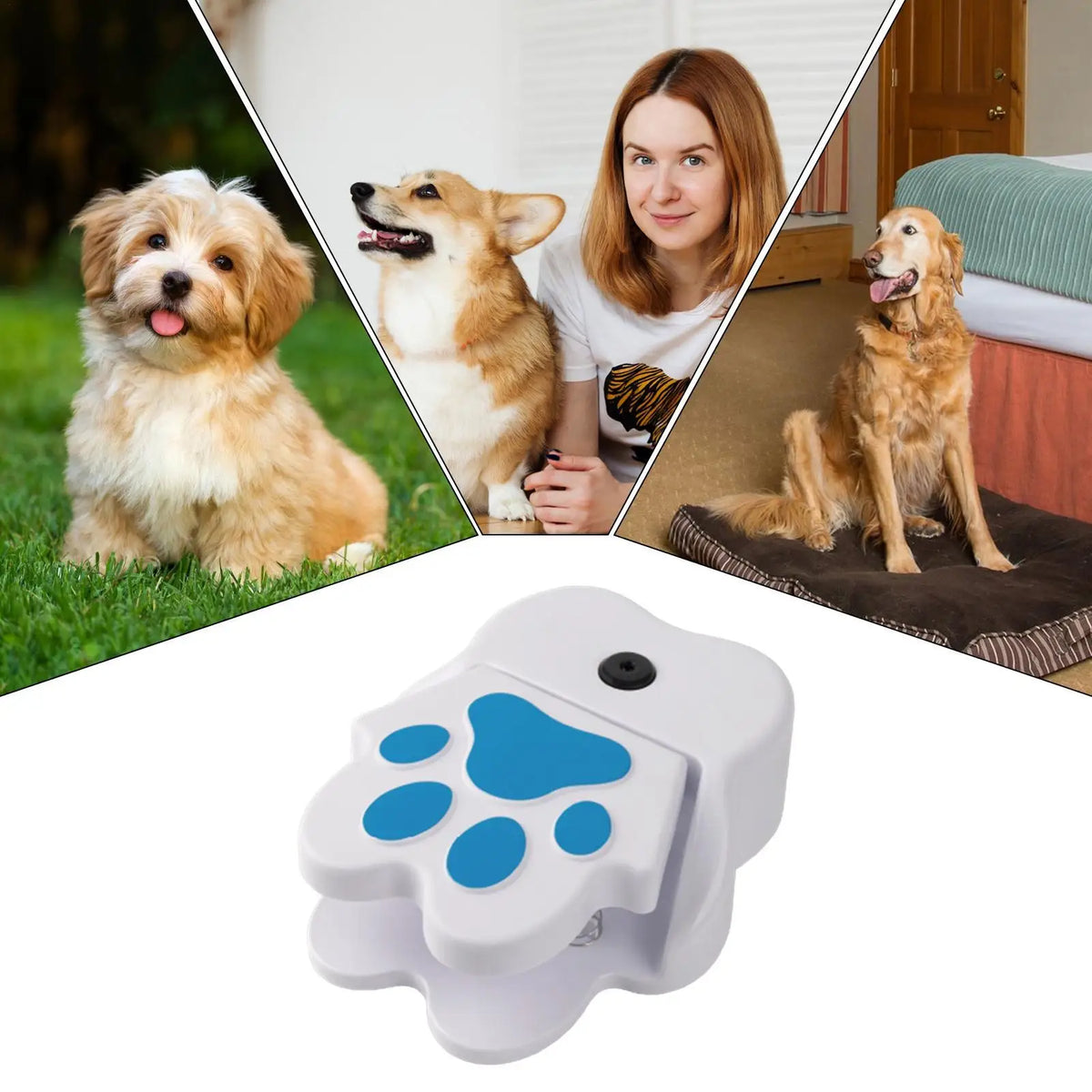 Step-On Dog Water Fountain, Paw-Activated Outdoor Drinker