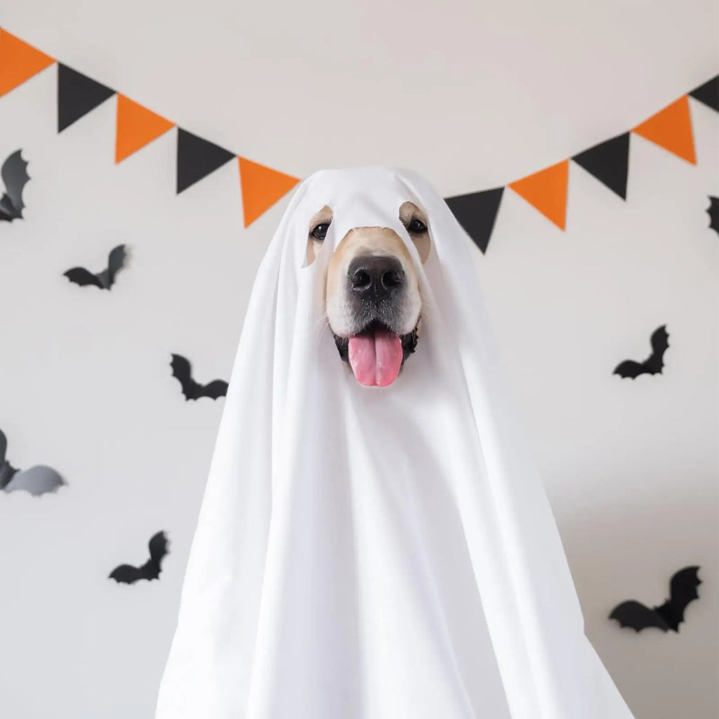 Dog Ghost Halloween Costume Cosplay Party Outfit for Pets
