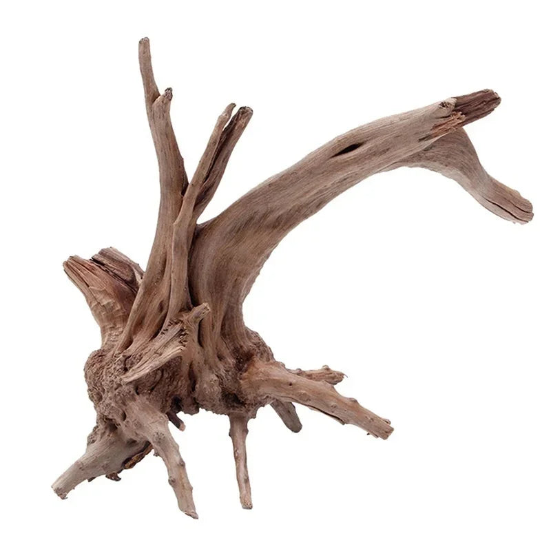 Natural Driftwood Tree Trunk Decor for Aquariums and Reptile Tanks