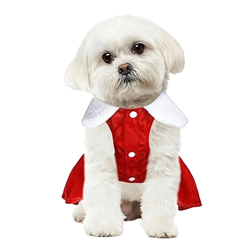 Christmas Dog Dress for Small Dogs & Cats, Santa Party Outfit