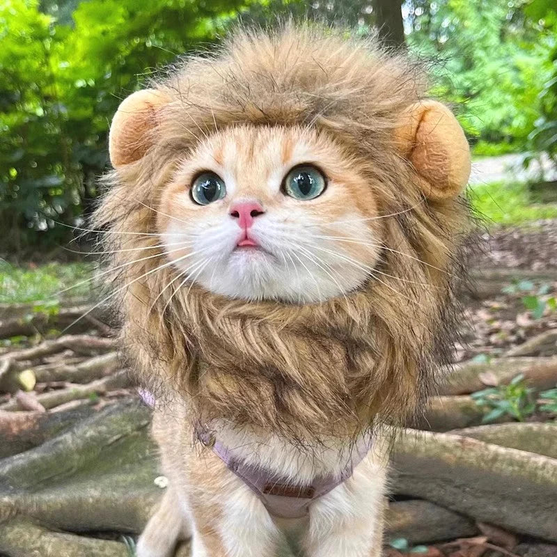 Halloween Lion Mane Wig Costume Hat with Ears for Cats & Small Dogs