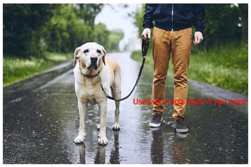 2-in-1 Dog Harness with Leash and Car Seat Belt Strap