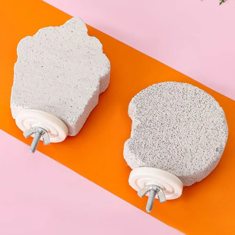 Pumice Bird Perch Platform for Parrots, Claw & Beak Grinding Stand