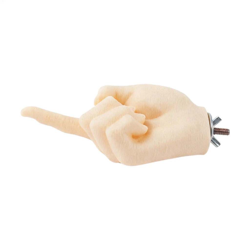 Interactive Hand-Shaped Bird Perch Stand for Conures & Cockatiels