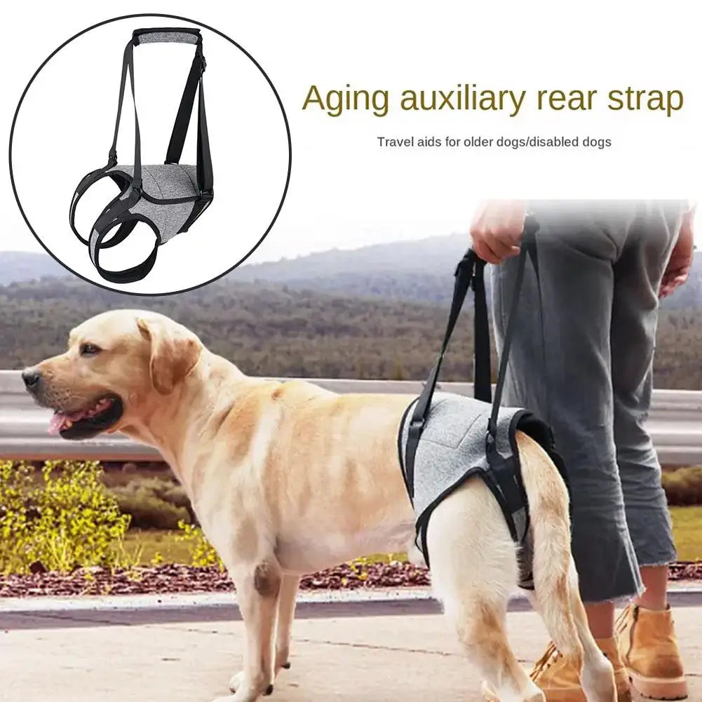 Adjustable Dog Rear Leg Support Harness for Old Disabled Pets