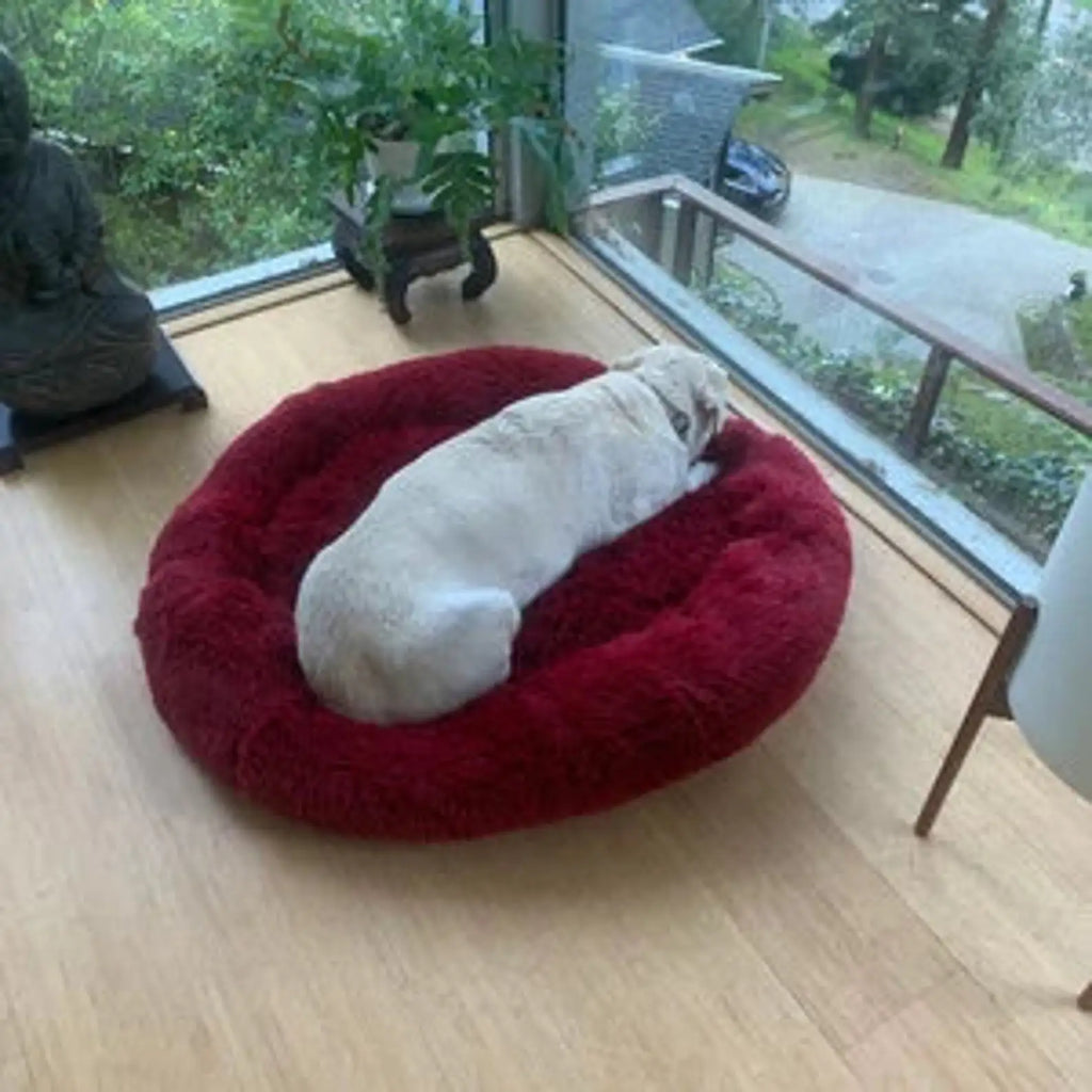 Calming Orthopedic Donut Dog Bed, Washable Pet Lounger