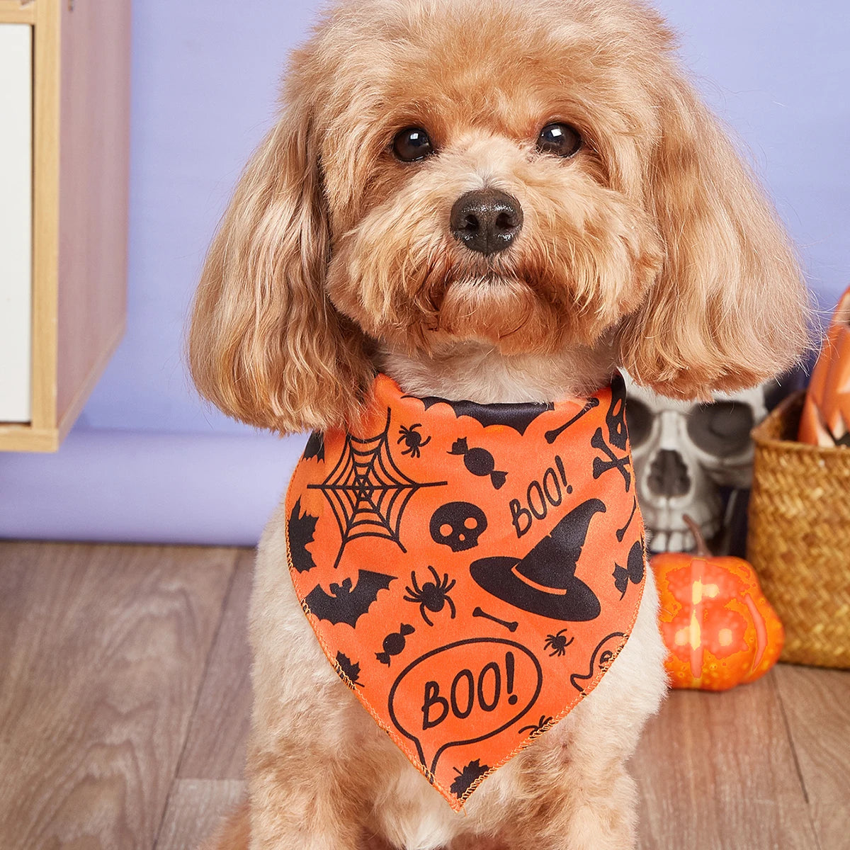 Halloween Dog Bandana with Pumpkin & Spider Web Print, Adjustable