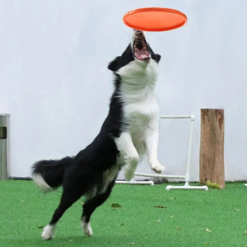 Silicone Dog Frisbee, Bite-Resistant Flying Disc, Assorted Colors