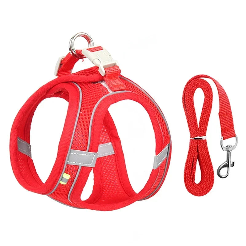 Puppy Harness & Leash Vest Set for Small Dogs, Adjustable