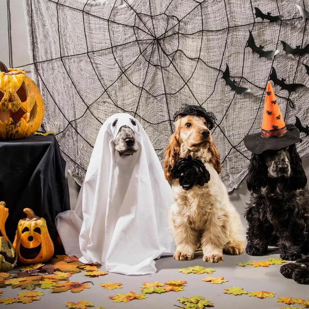 Dog Ghost Halloween Costume Cosplay Party Outfit for Pets
