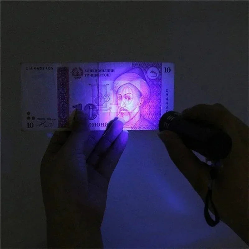 UV Black Light Flashlight for Detecting Pet Urine Stains on Carpet