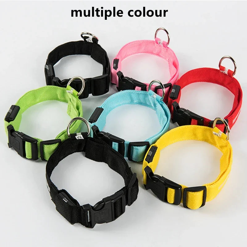 LED Glow Dog Collar – USB Rechargeable Night Safety Collar