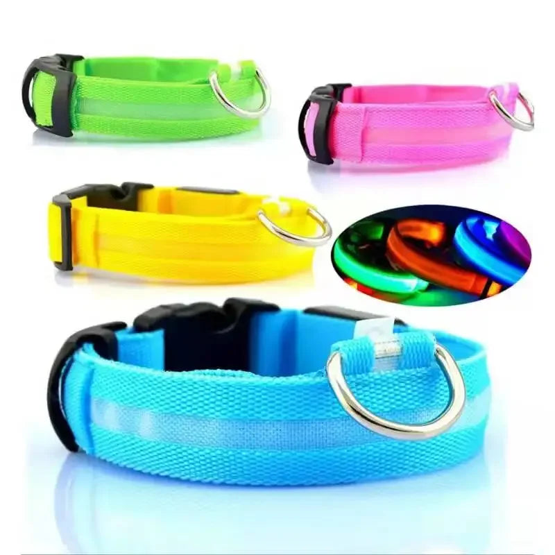 LED Glow Dog Collar – USB Rechargeable Night Safety Collar