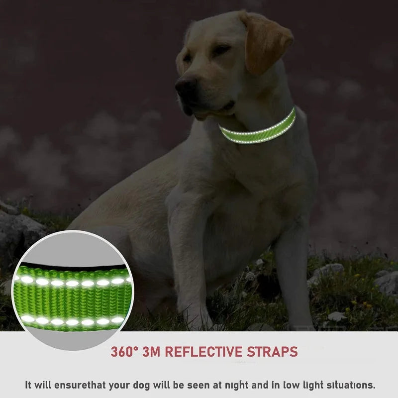 Adjustable Nylon Dog Collar, Soft Buckle Collar for Puppies & Dogs