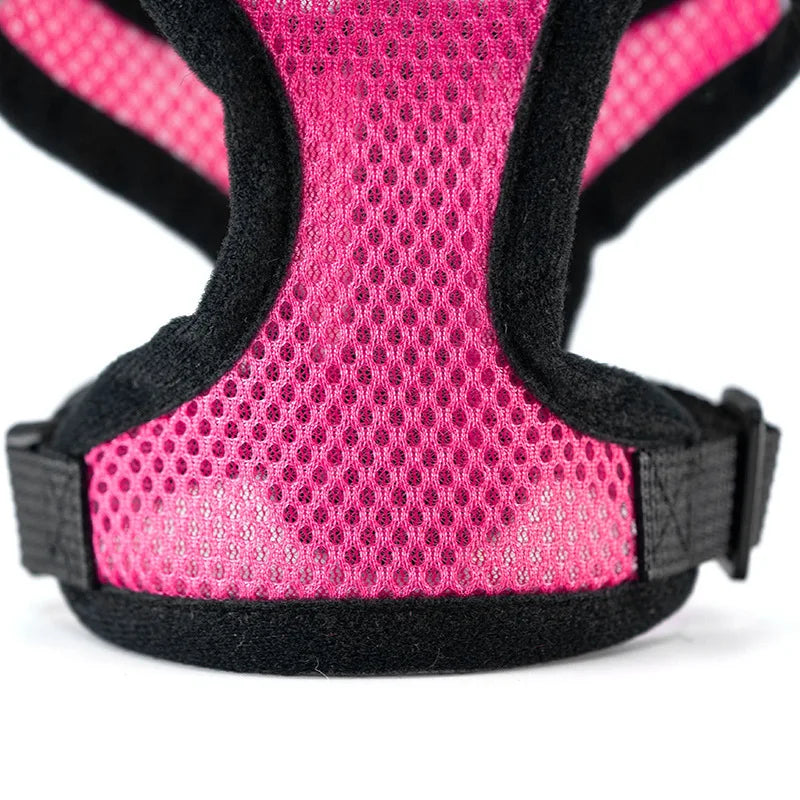 Breathable Dog Chest Harness with Leash – Summer Mesh Vest Set
