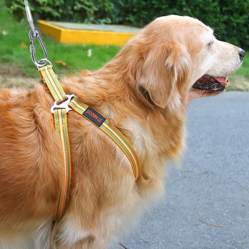 Double-Headed Dog Tie Out Cable, Rust-Proof Steel Wire Leash