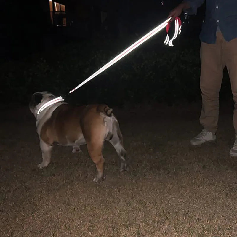 Reflective Night Safety Dog & Cat Harness Leash Walking Training Rope