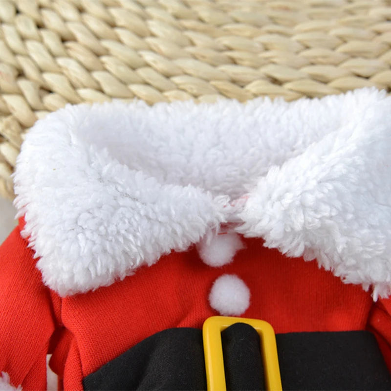 Funny Santa Claus Costume for Small & Medium Dogs and Cats