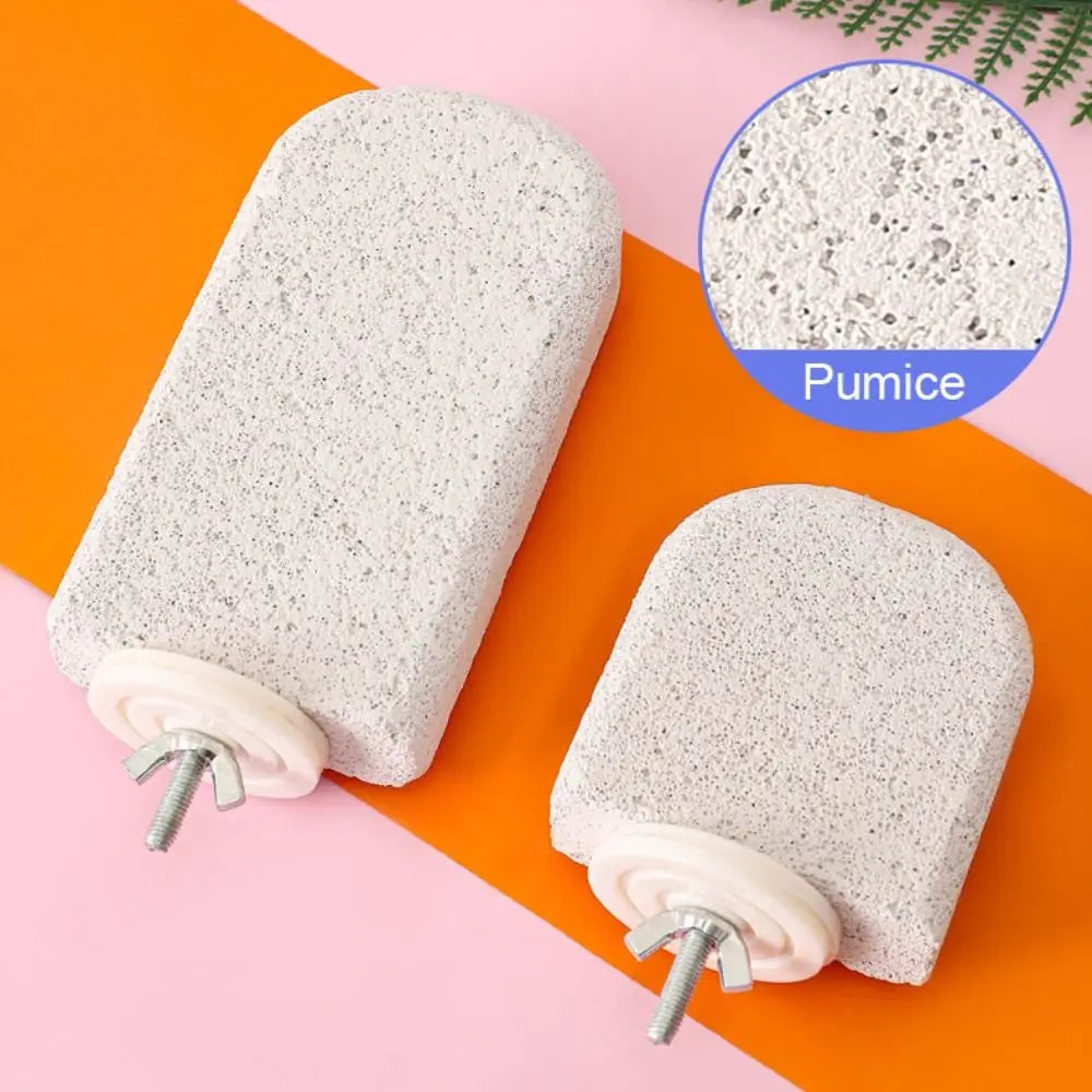 Pumice Bird Perch Platform for Parrots, Claw & Beak Grinding Stand