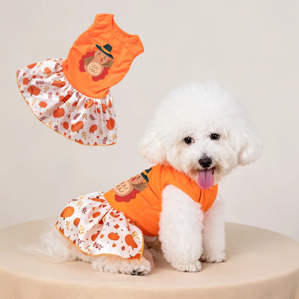 Fall Thanksgiving Pumpkin Print Dog Dress for Small & Medium Dogs