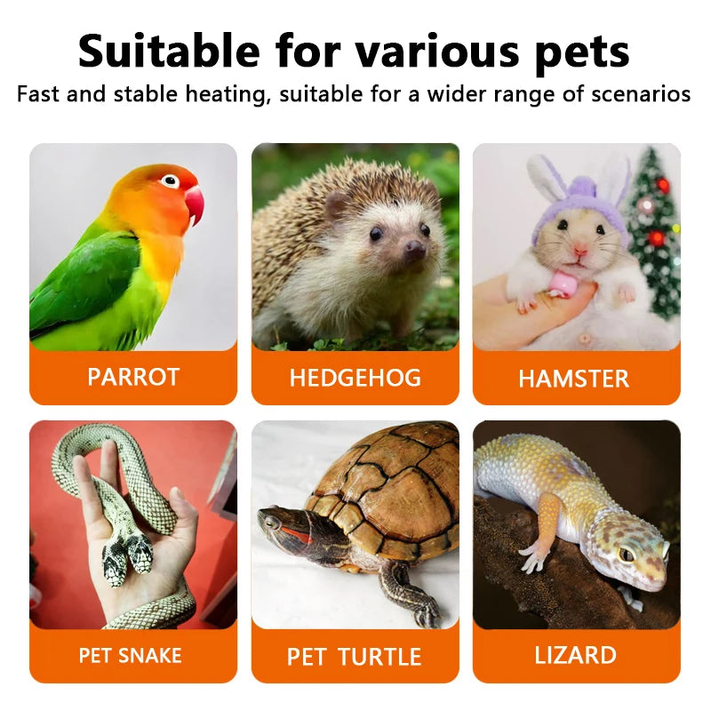 Ceramic Heat Emitter Lamp Bulb for Reptiles and Small Pets, No Light