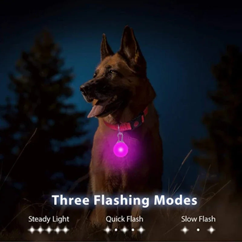 LED Glowing Pet Collar Pendant, Night Safety Light for Dogs & Cats