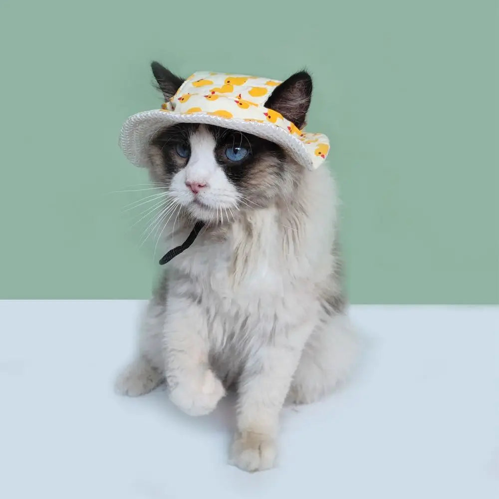 Adjustable Pet Sun Hat with Ear Holes for Dogs and Cats