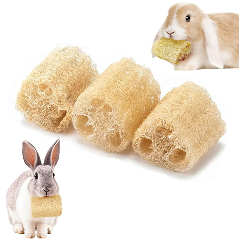 Natural Loofah Chew Toys for Rabbits & Chinchillas, 2-Pack