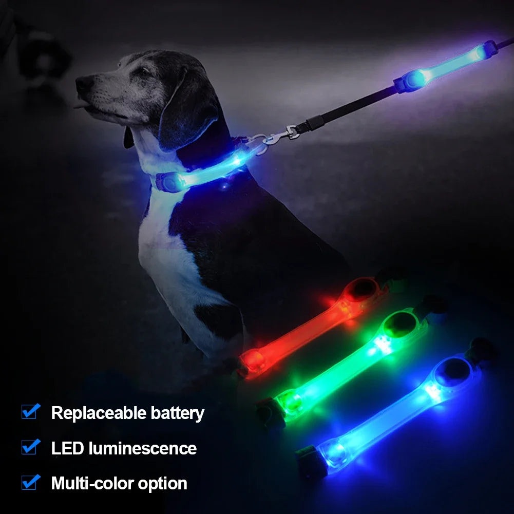 Glowing LED Anti-Lost Dog Collar with Pendant, Waterproof