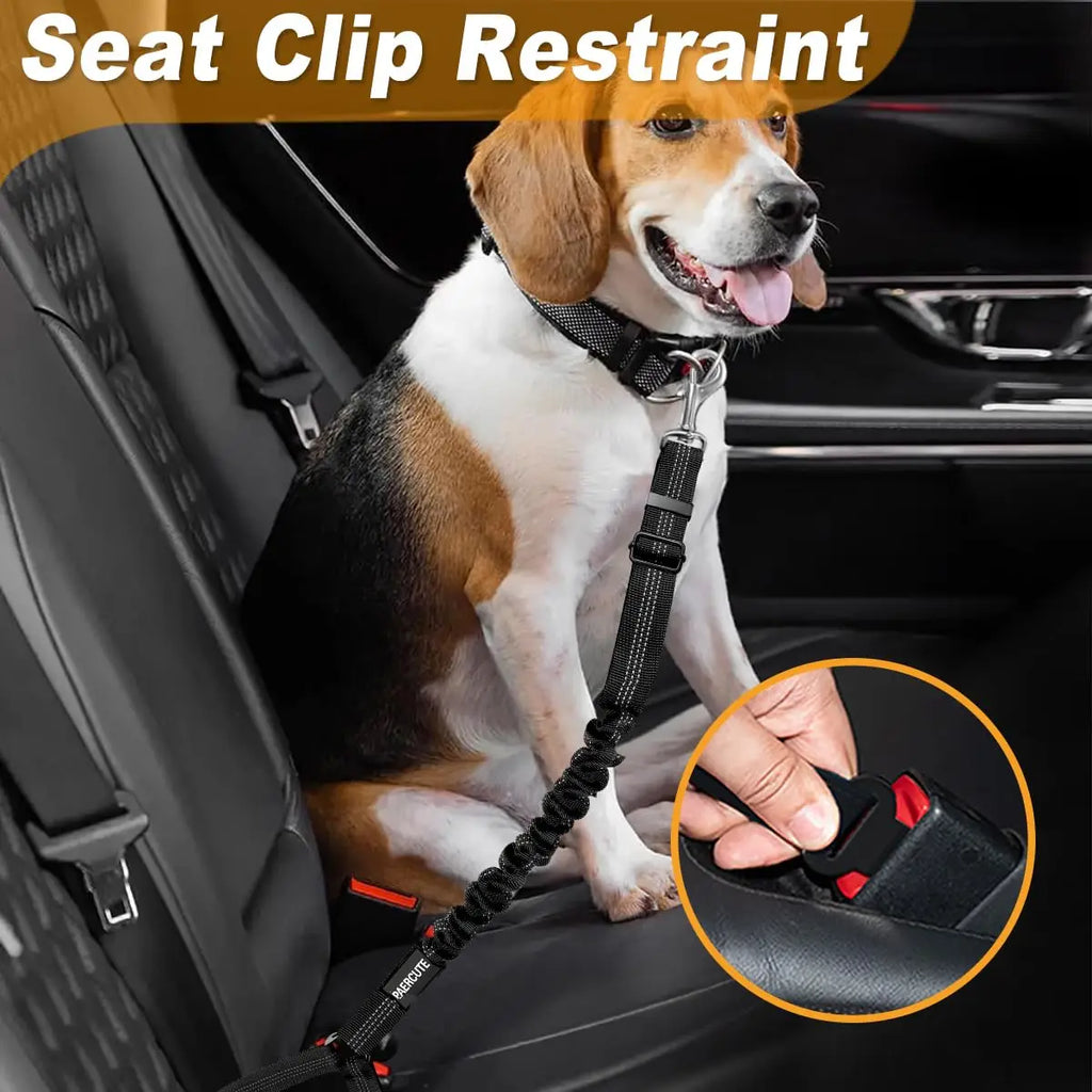 2-in-1 Dog Harness with Leash and Car Seat Belt Strap