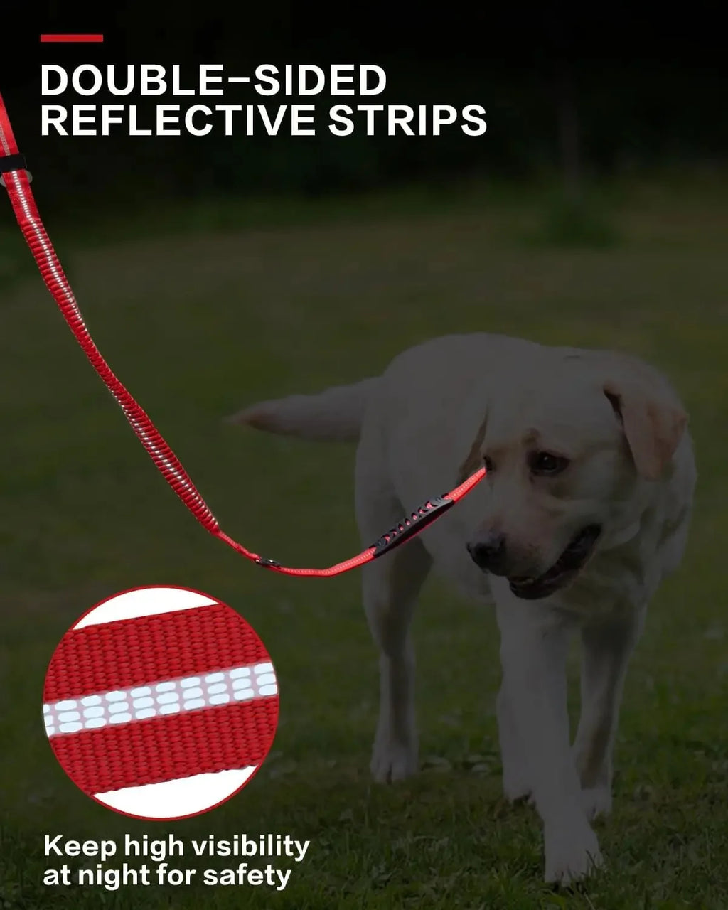 Heavy-Duty Tactical Bungee Dog Leash with 2 Padded Handles & Seatbelt