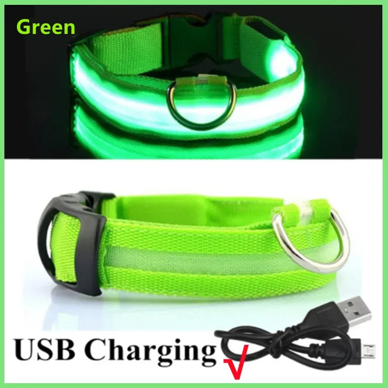 LED Glow Dog Collar – USB Rechargeable Night Safety Collar