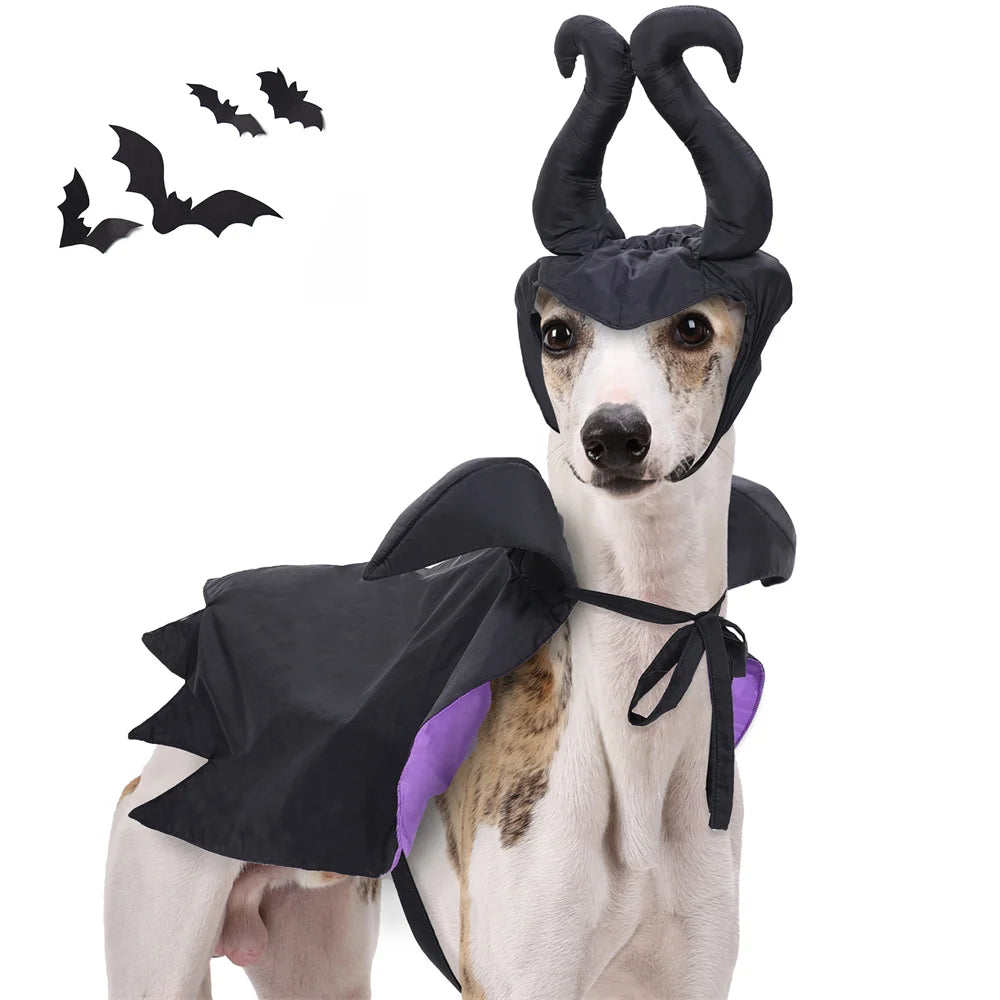 Halloween Maleficent Cape with Hat Costume for Dogs & Cats Party