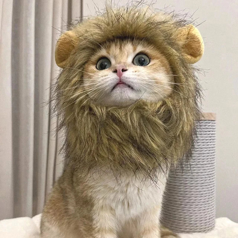 Halloween Lion Mane Wig Costume Hat with Ears for Cats & Small Dogs