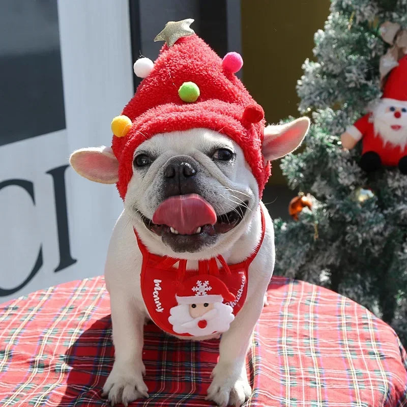 Christmas Santa Hat & Bandana Set for Dogs & Cats, Photo Prop