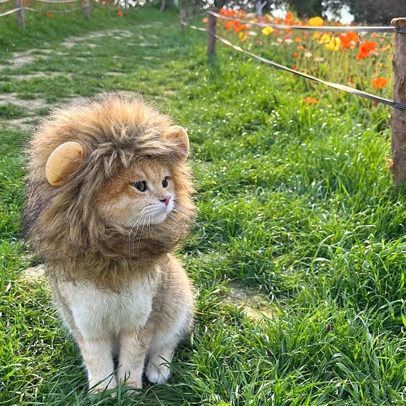 Halloween Lion Mane Wig Costume Hat with Ears for Cats & Small Dogs