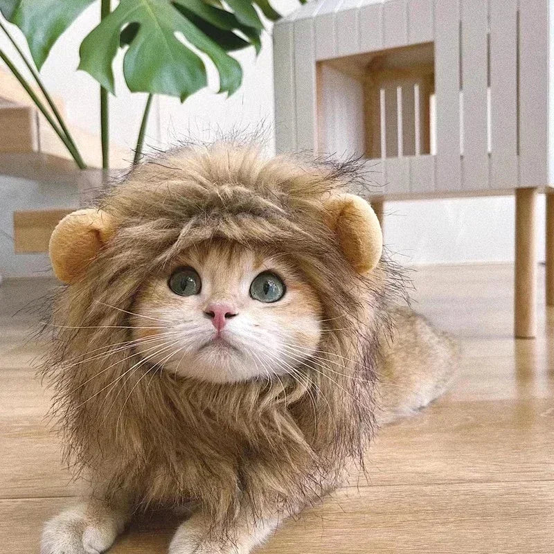 Halloween Lion Mane Wig Costume Hat with Ears for Cats & Small Dogs