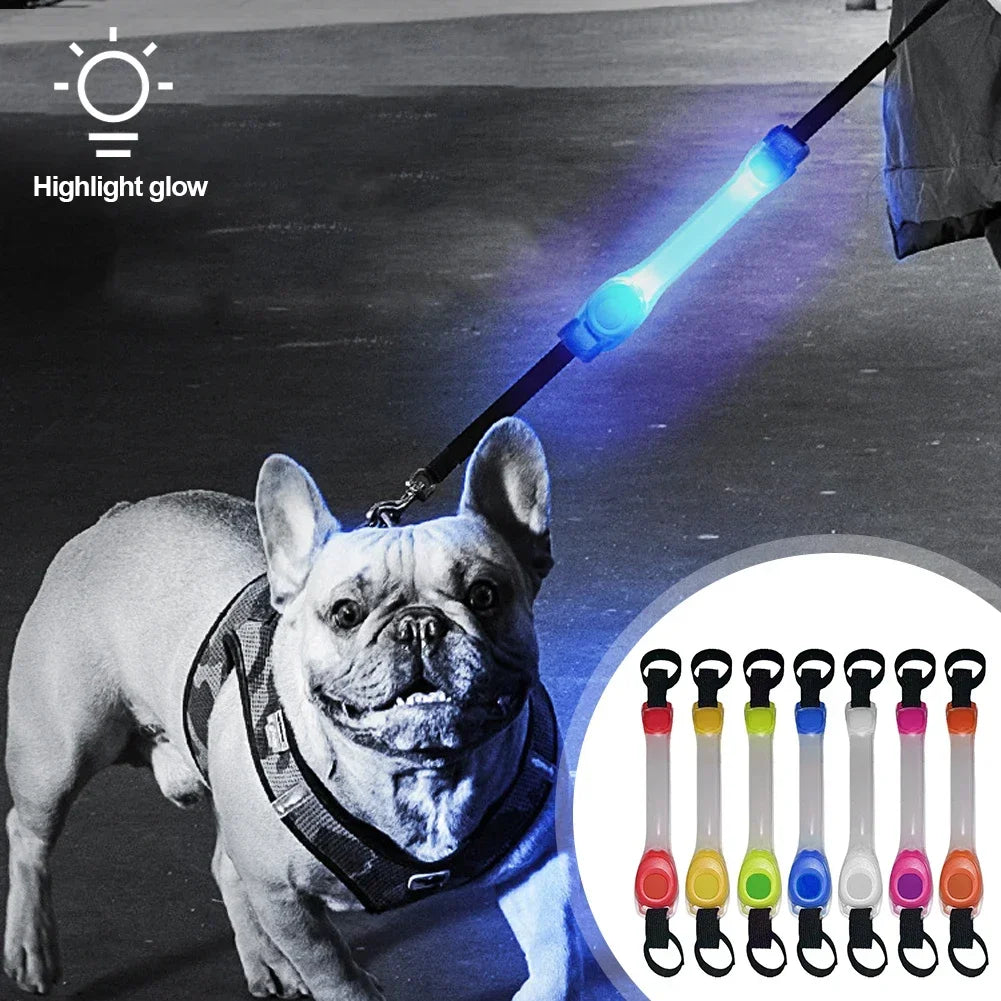 Glowing LED Anti-Lost Dog Collar with Pendant, Waterproof