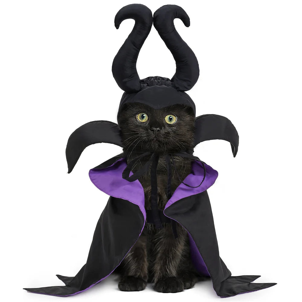 Halloween Maleficent Cape with Hat Costume for Dogs & Cats Party