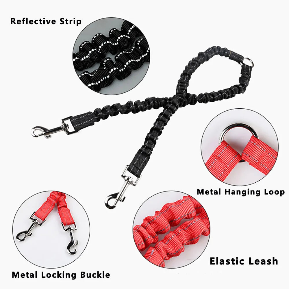No-Tangle Double Dog Leash with Reflective Bungee for Two Dogs