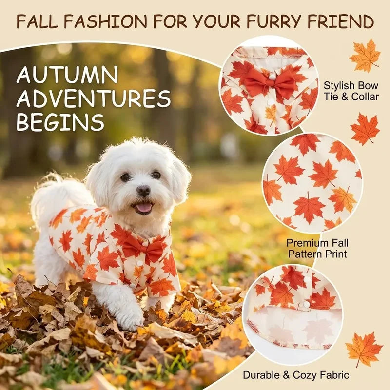 Fall Maple Leaf Dog Shirt with Bowtie, Thanksgiving Pet Outfit