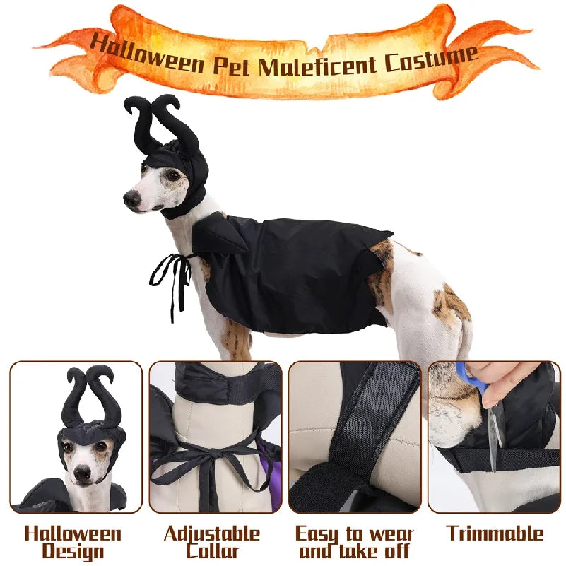 Halloween Maleficent Cape with Hat Costume for Dogs & Cats Party
