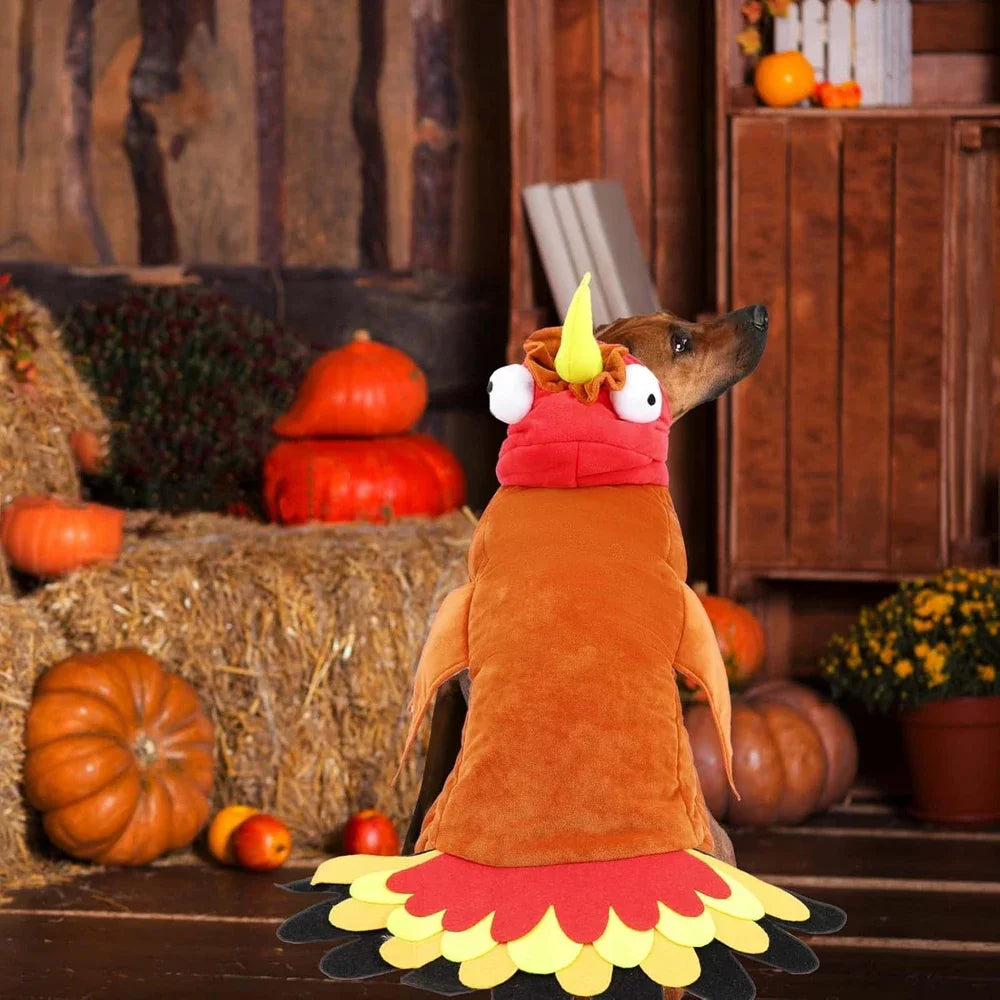 Thanksgiving Turkey Dog Costume for Small, Medium & Large Dogs