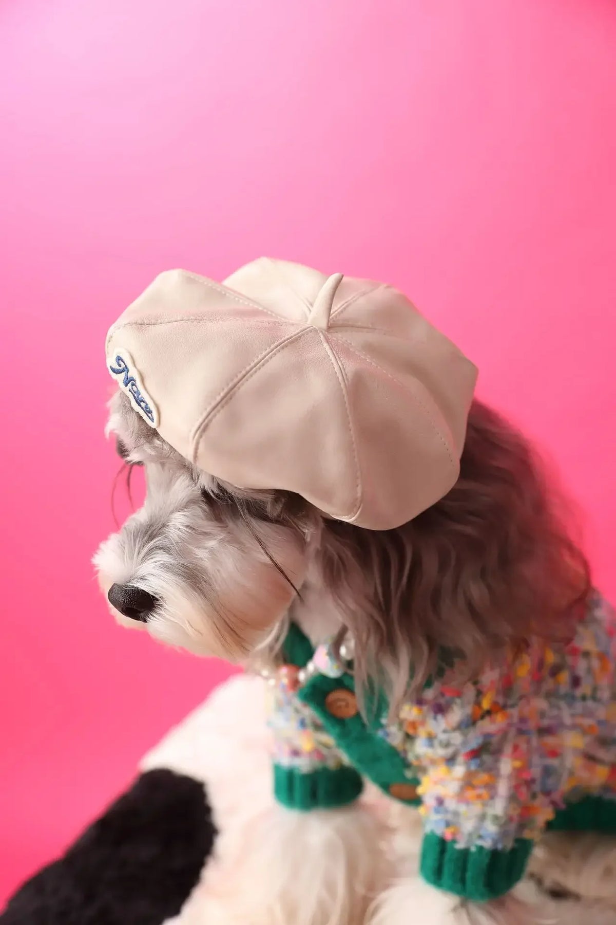 Faux Leather Pumpkin Hat for Dogs, Cute Fall Photo Prop Cap for Pets