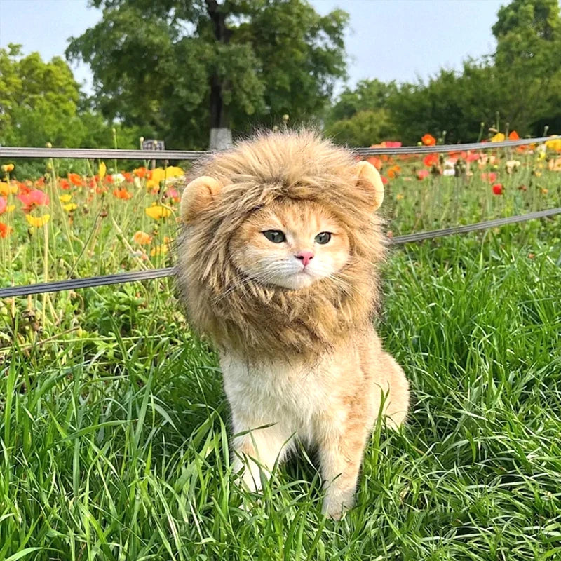 Halloween Lion Mane Wig Costume Hat with Ears for Cats & Small Dogs