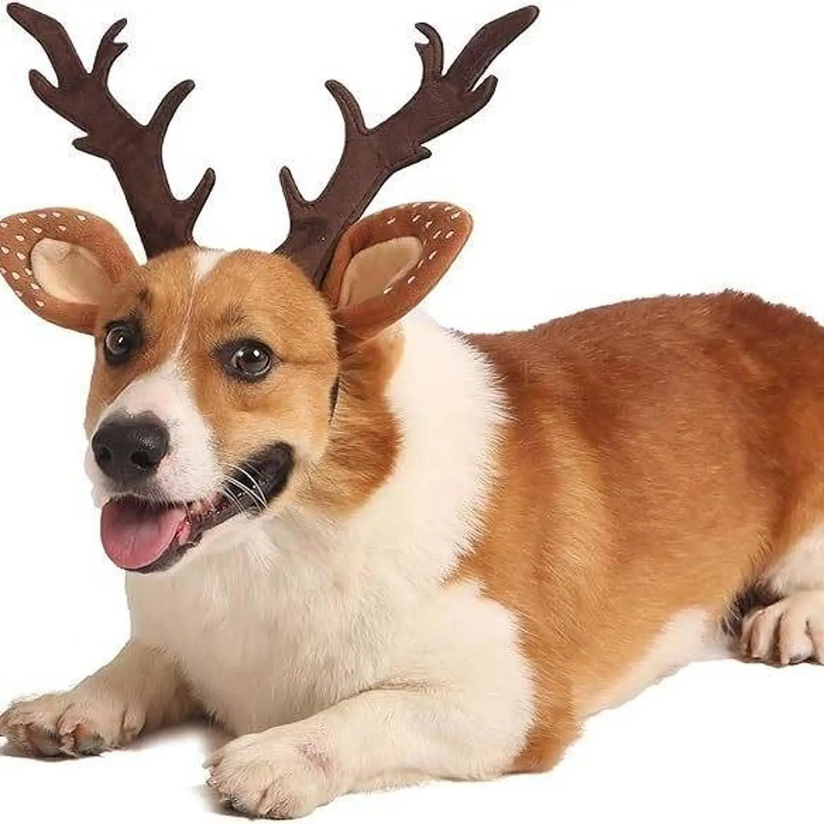 Christmas Reindeer Antlers Headband for Dogs & Cats, Holiday Costume